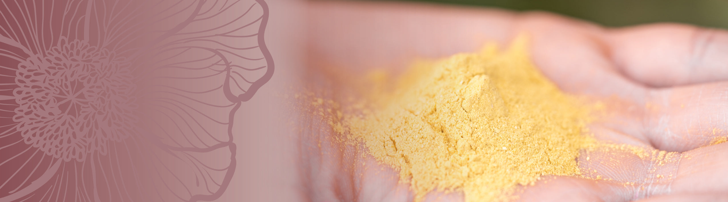 Product Type - Exfoliants | Peels – Natural Beauty Group