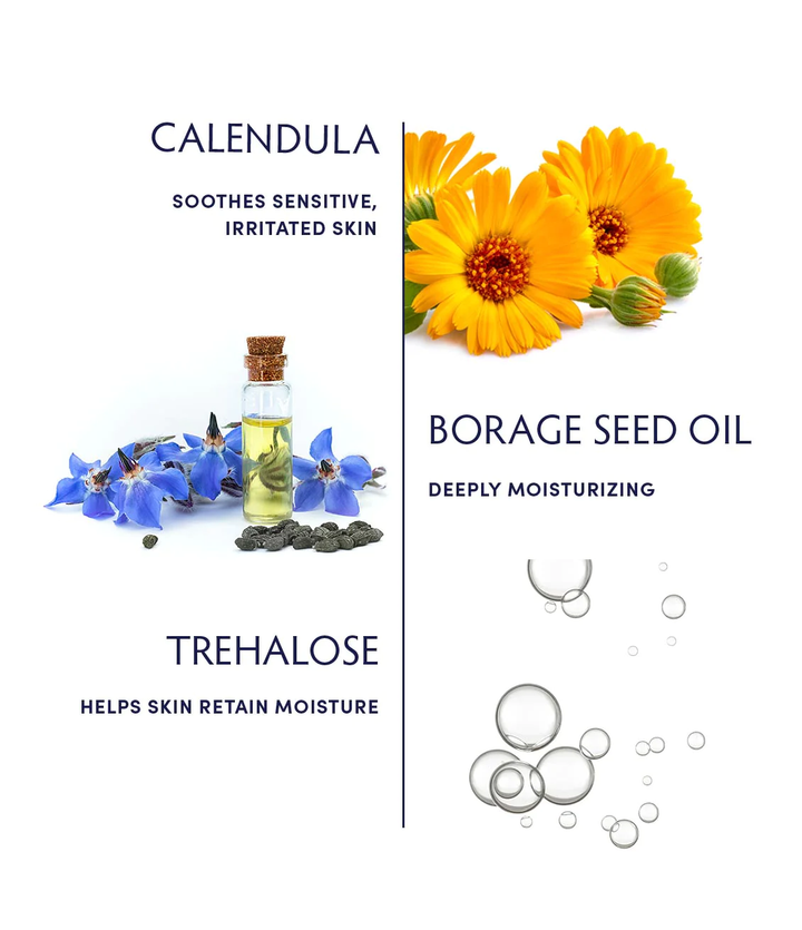 Naturopathica Calendula Essential Hydrating Cream key ingredients