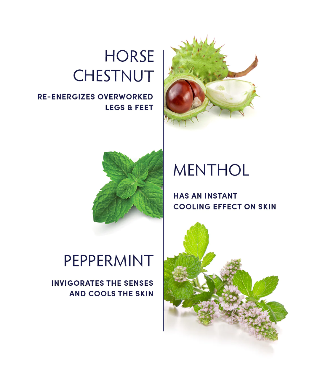 Naturopathica Mighty Mint Rescue Cream ingredients