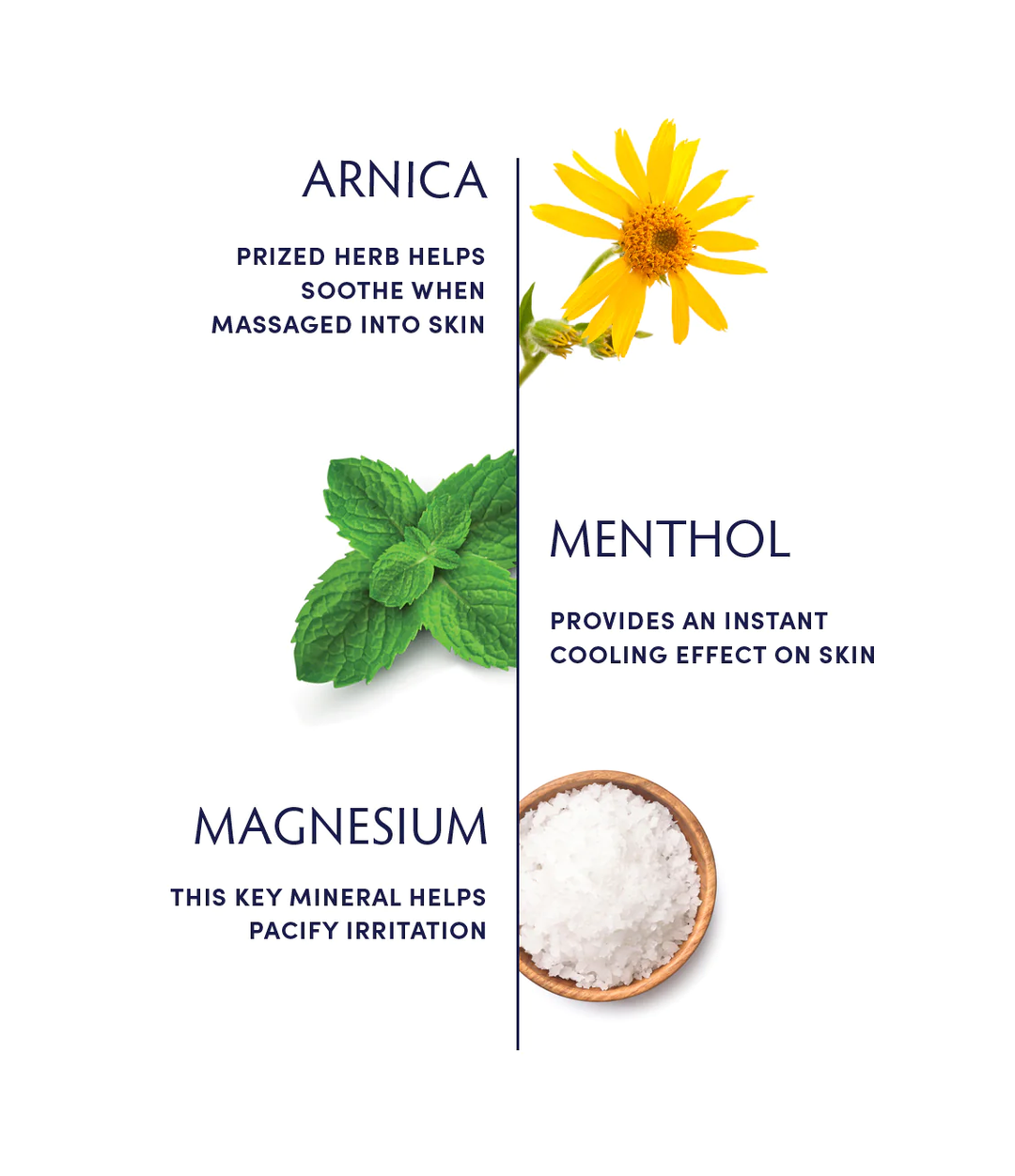Naturopathica Alpine Arnica & Magnesium Gel ingredients