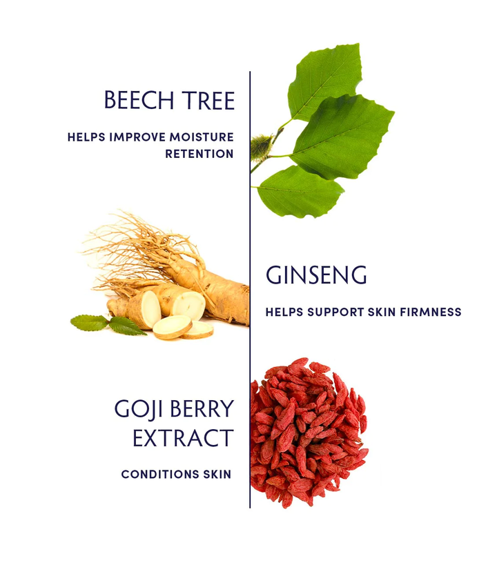 Naturopathica Beech Tree & Ginseng Daily Moisturizer ingredients