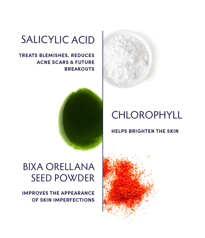 Naturopathica Chlorophyll & Salicylic Acid Spot Treatment ingredients