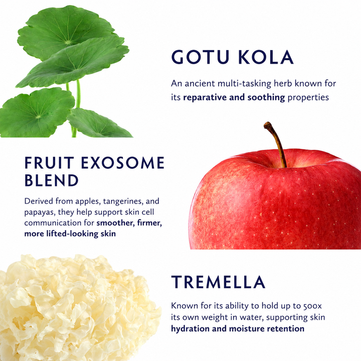 Naturopathica Gotu Kola + Fruit Exosome duo featured ingredients: GOTU KOLA with green leaves, FRUIT EXOSOME BLEND with a red apple, and TREMELLA with pale cream flower-like pieces. No actual packaged product is shown.