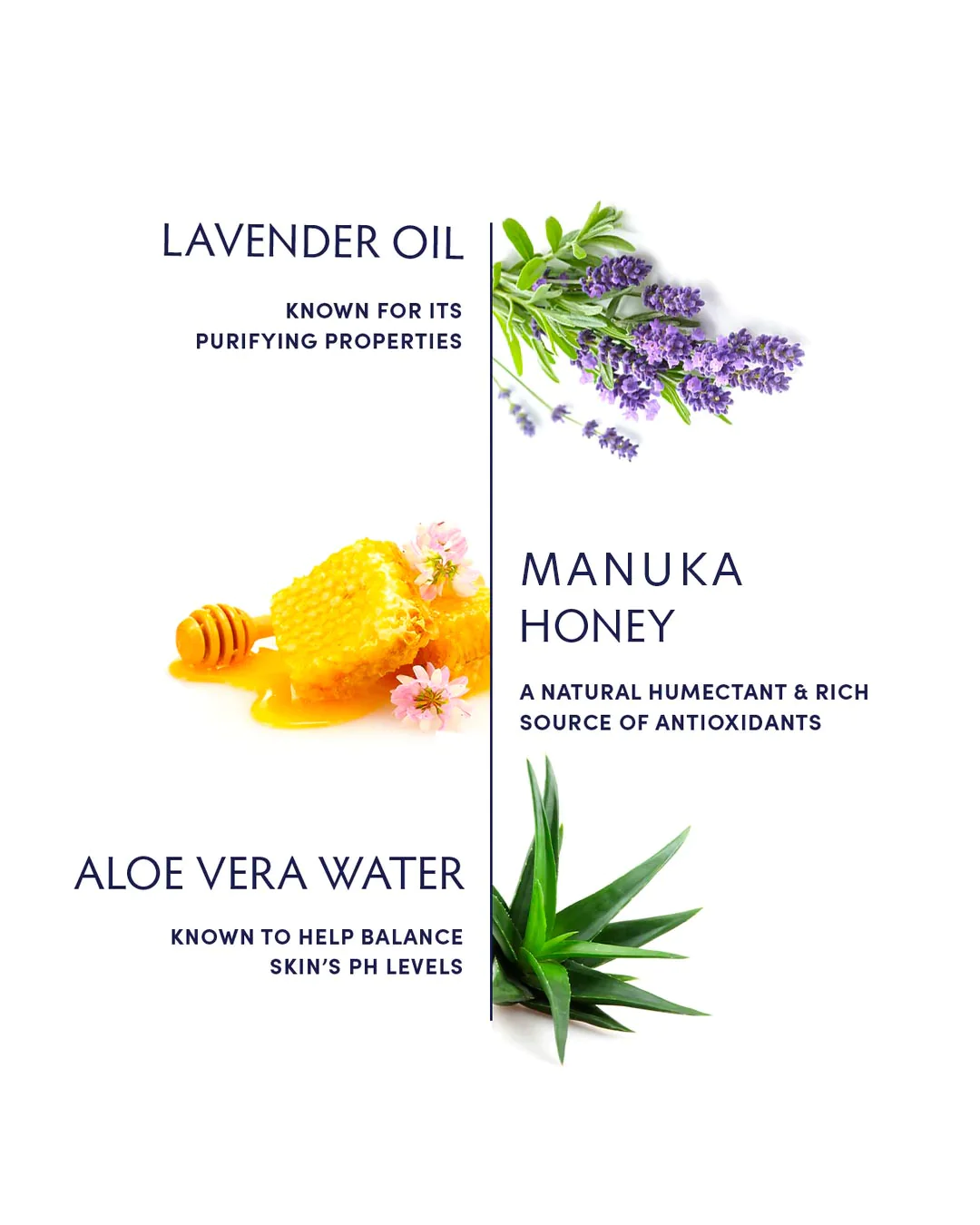 Naturopathica Lavender & Honey Balancing Mist ingredients