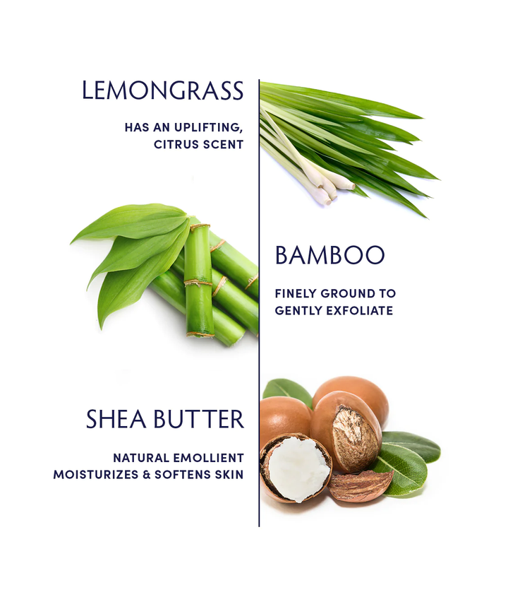 Naturopathica Lemongrass Mimosa Body Scrub ingredients