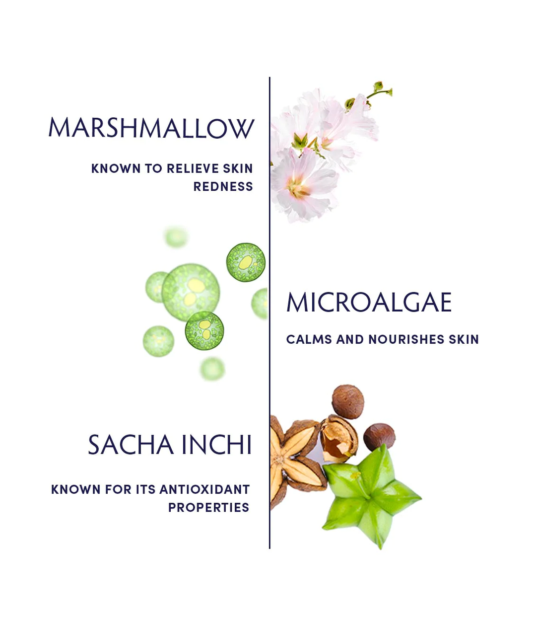 Naturopathica Marshmallow & Microalgae Sensitivity Soothing Creme ingredients