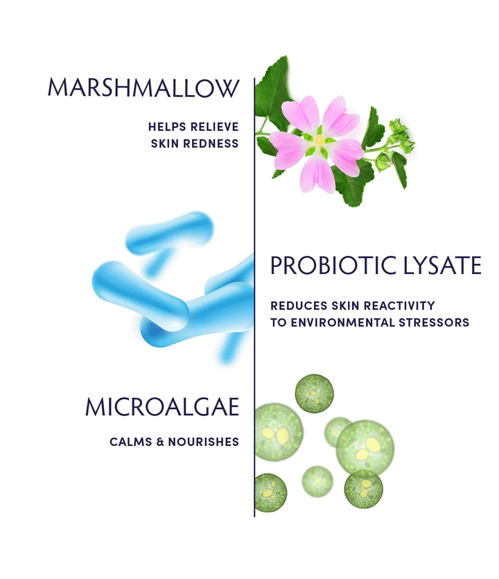 Naturopathica Marshmallow & Probiotic Sensitivity Soothing Cream Cleanser ingredients