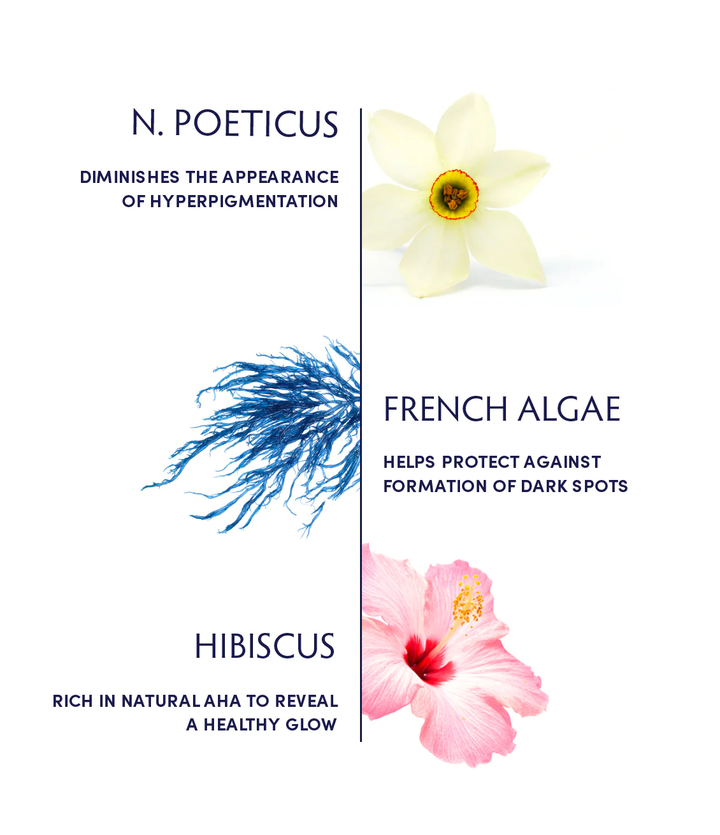 Naturopathica N. Poeticus & French Algae Brightening Essence ingredients