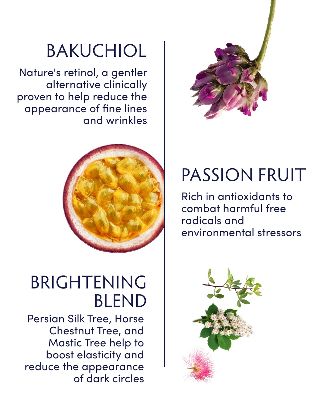 Naturopathica Passion Fruit & Bakuchiol Ageless Eye Serum key ingredients