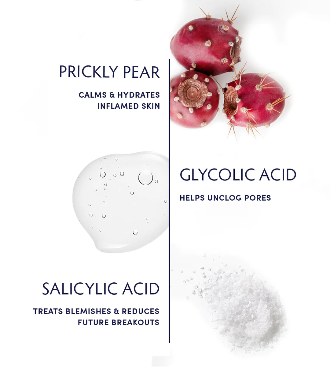 Naturopathica Prickly Pear & Salicylic Acid Acne Clearing Tonic ingredients