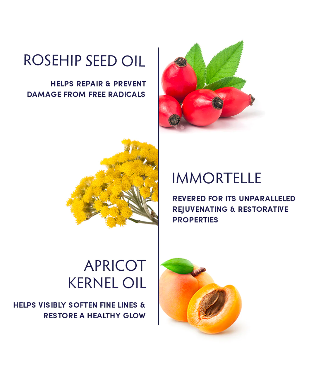 Naturopathica Rosehip Seed & Immortelle Regenerating Facial Oil ingredients