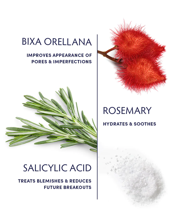 Naturopathica Rosemary & Salicylic Acid Acne Clearing Moisturizer ingredients