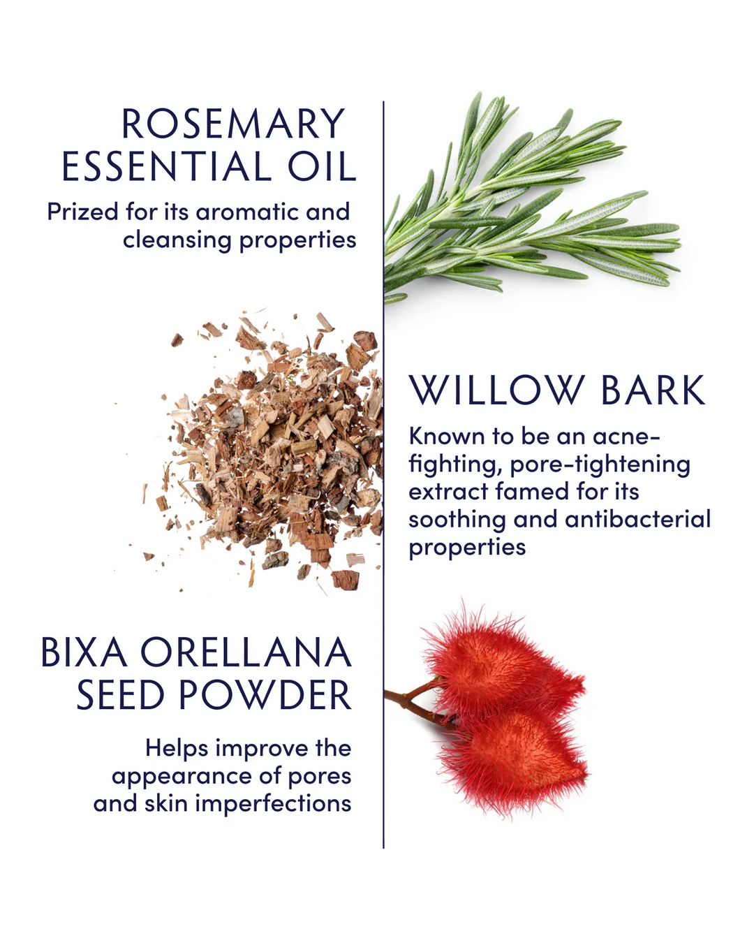 Naturopathica Rosemary & Willow Bark Clarifying Moisturizer key ingredients