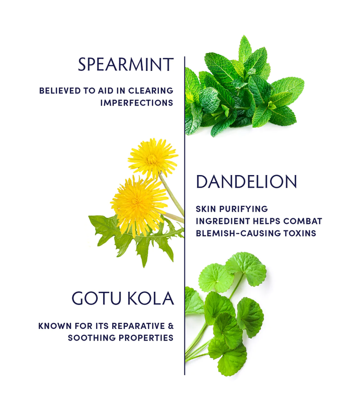 Naturopathica Spearmint & Gotu Kola Clarifying Tea ingredients