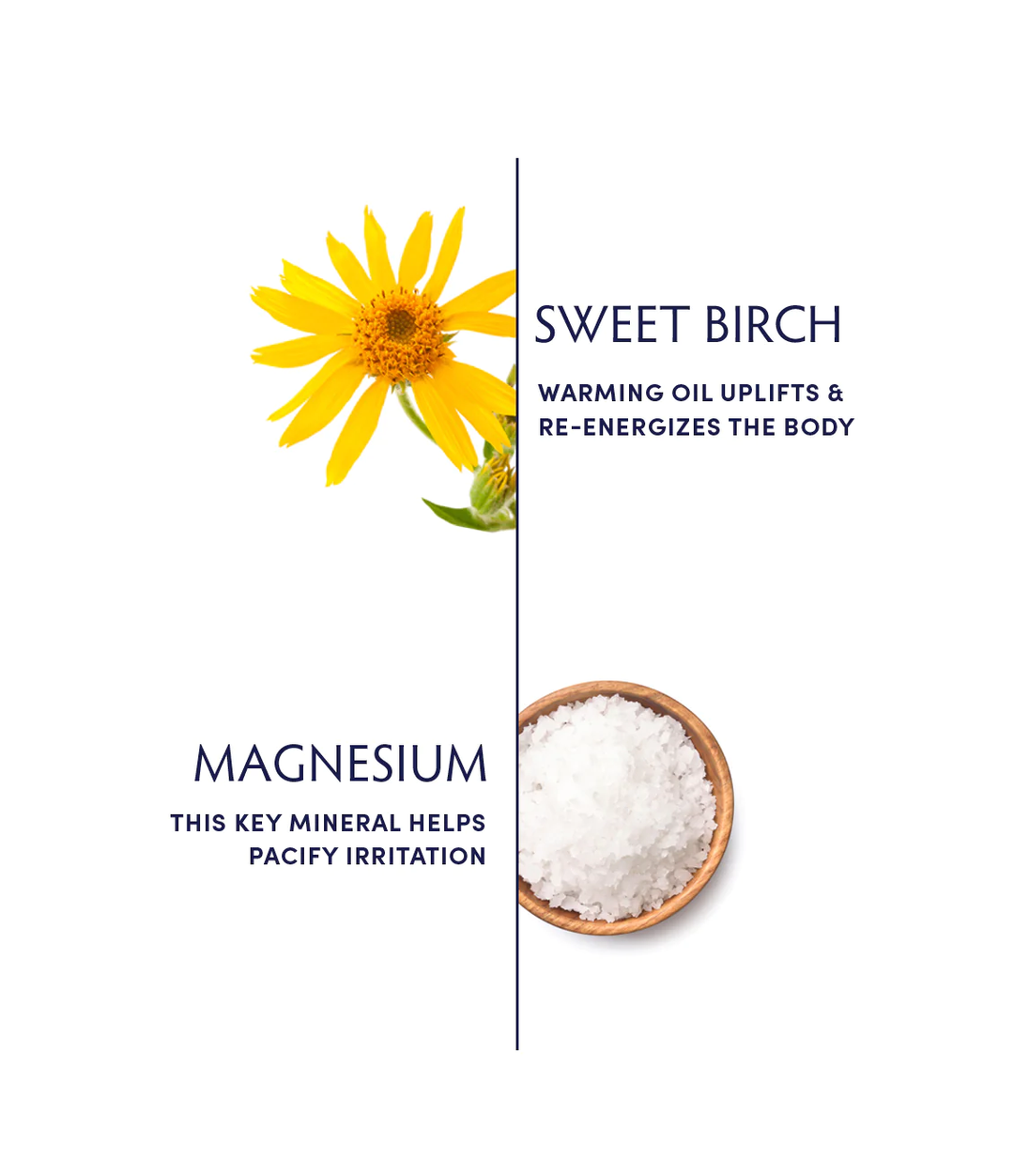 Naturopathica Sweet Birch Magnesium Bath Flakes ingredients