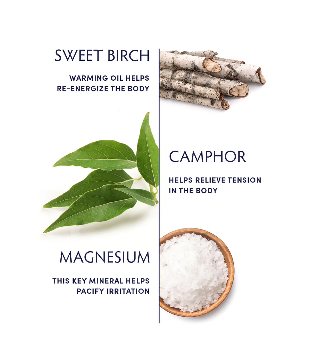 Naturopathica Sweet Birch & Camphor Rub ingredients
