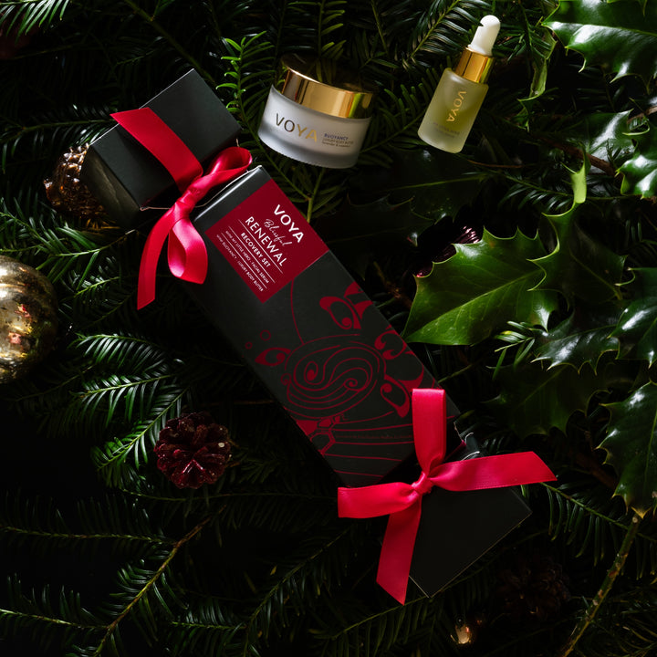 VOYA Blissful Renewal gift set nestled among evergreen branches, holly leaves and festive ornaments.
