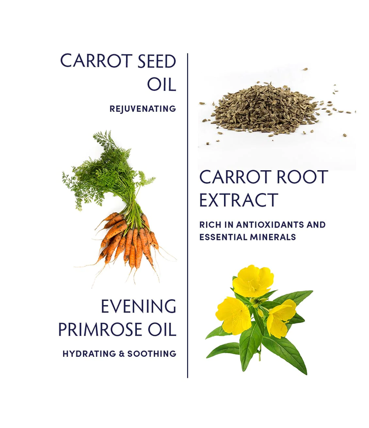 Naturopathica Carrot Seed Soothing Facial Oil key ingredients
