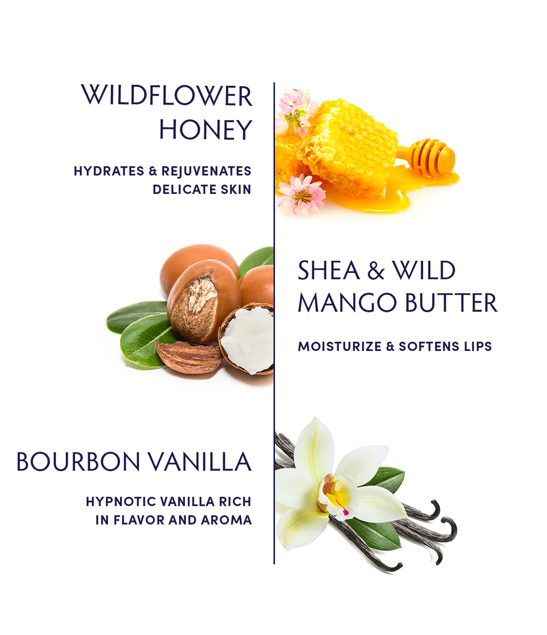 Naturopathica Honey Vanilla Lip Balm ingredients