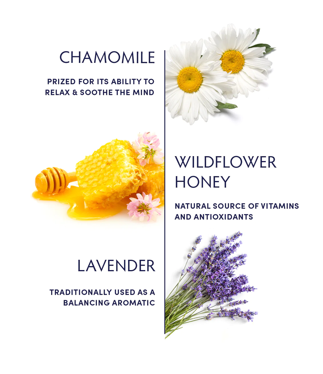 Naturopathica Chamomile Calming Honey key ingredients